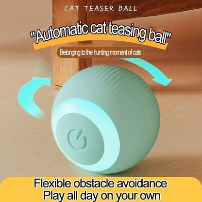Self Moving Cat Ball