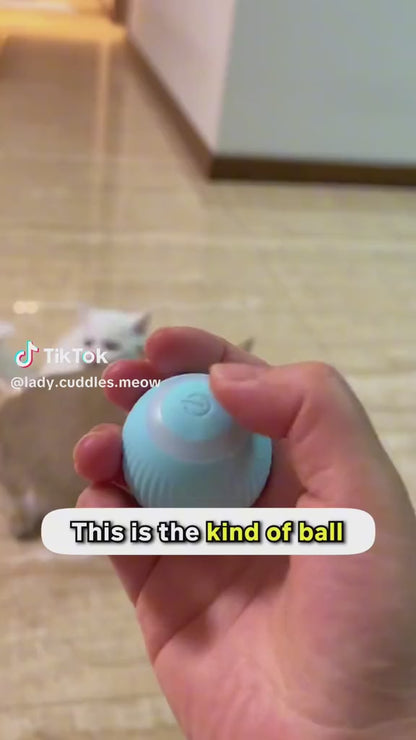Self Moving Cat Ball